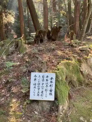 西山興隆寺の自然