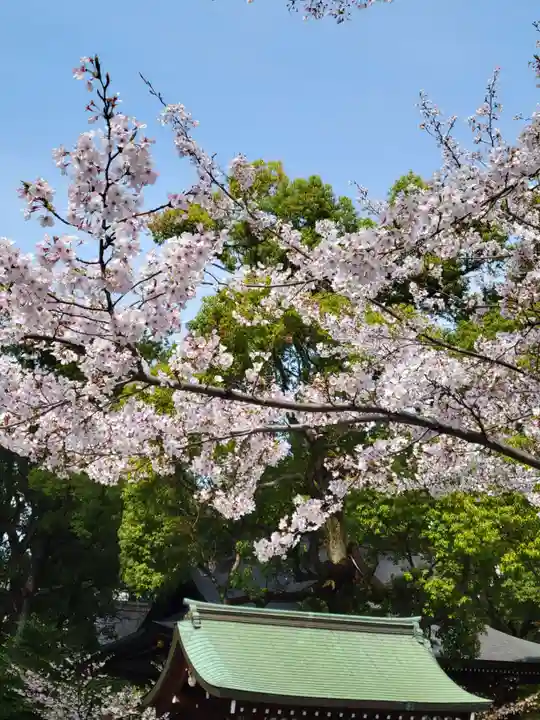 若宮八幡社(愛知県)