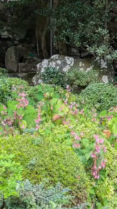 寂光院(京都府)