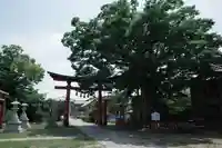 曽根神社の自然