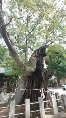 阿邪訶根神社(福島県)