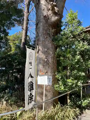 阿佐ヶ谷神明宮(東京都)