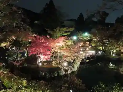 高台寺（高台寿聖禅寺・高臺寺）(京都府)