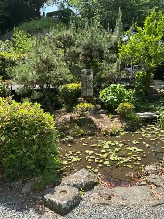 安楽寺の{uncategorized: "未分類", other: "その他", undefined: "問題あり", building: "その他建物", grave: "お墓", sacred_gate: "鳥居", guardian: "狛犬", statue: "像", buddha: "仏像", history: "歴史", nature: "自然", garden: "庭園", animal: "動物", pagoda: "塔", temizu: "手水舎", mountain_gate: "山門・神門", sanctuary: "本殿・本堂", subordinate: "末社・摂社", art: "芸術", scenery: "景色", jizo: "地蔵", ema: "絵馬", goshuin: "御朱印", omikuji: "おみくじ", items: "授与品その他", amulet: "お守り", goshuincho: "御朱印帳", eats: "食事", festival: "お祭り", votive_dance: "神楽", shichigosan: "七五三参", wedding: "結婚式", experience: "体験その他", initially: "初詣", around: "周辺", anti_infection: "感染症対策"}
