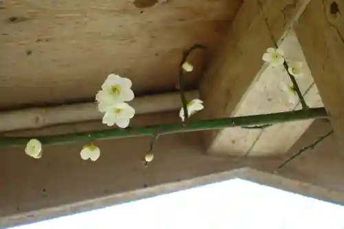 北野天満宮の庭園