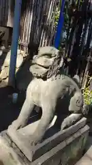 五條天神社の狛犬