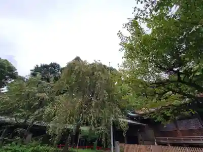 代々木八幡宮のその他建物