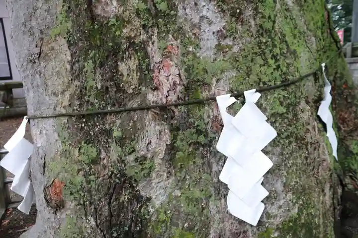 阿邪訶根神社の自然