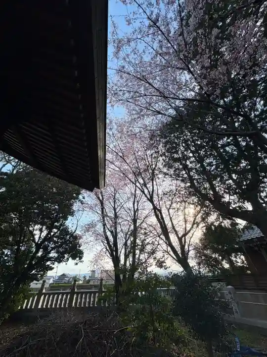 日吉神社の{uncategorized: "未分類", other: "その他", undefined: "問題あり", building: "その他建物", grave: "お墓", sacred_gate: "鳥居", guardian: "狛犬", statue: "像", buddha: "仏像", history: "歴史", nature: "自然", garden: "庭園", animal: "動物", pagoda: "塔", temizu: "手水舎", mountain_gate: "山門・神門", sanctuary: "本殿・本堂", subordinate: "末社・摂社", art: "芸術", scenery: "景色", jizo: "地蔵", ema: "絵馬", goshuin: "御朱印", omikuji: "おみくじ", items: "授与品その他", amulet: "お守り", goshuincho: "御朱印帳", eats: "食事", festival: "お祭り", votive_dance: "神楽", shichigosan: "七五三参", wedding: "結婚式", experience: "体験その他", initially: "初詣", around: "周辺", anti_infection: "感染症対策"}