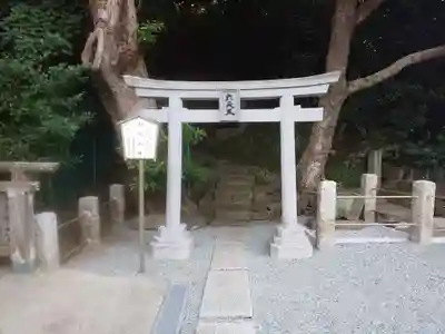 小動神社の鳥居