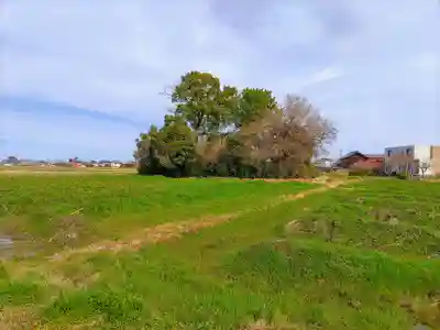 神明社（下一色）の自然