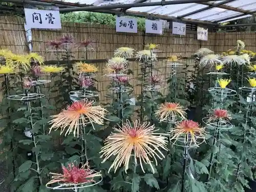 大國魂神社のその他建物