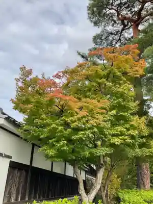 禅林寺(永観堂)(京都府)