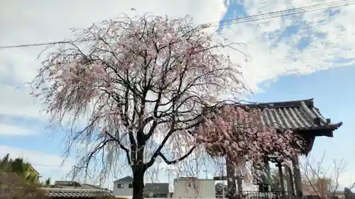 恩林寺(群馬県)