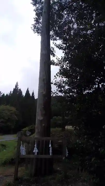 諏訪大社上社前宮のその他建物