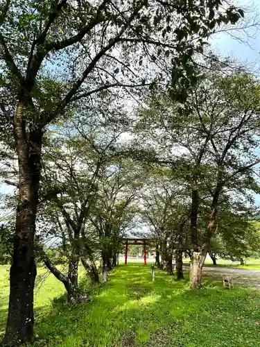 子檀嶺神社(長野県)