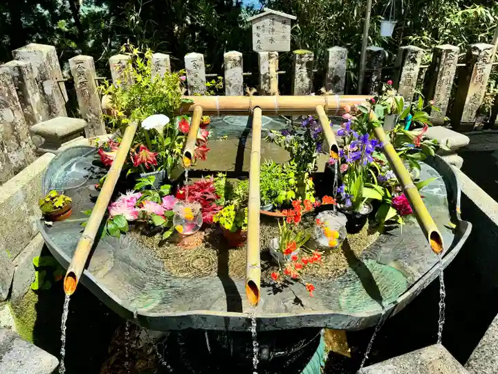 熊野那智大社(和歌山県)