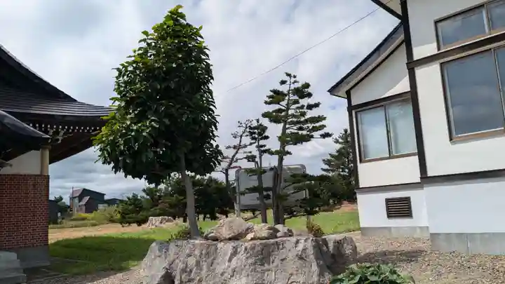 雨竜 専福寺の自然