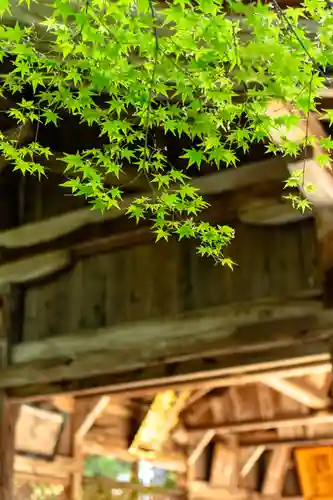 大元神社（厳島神社境外摂社）(広島県)