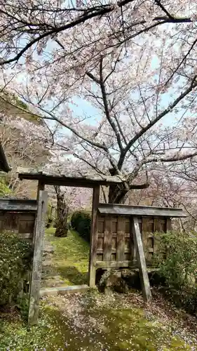 勝持寺（花の寺）の自然
