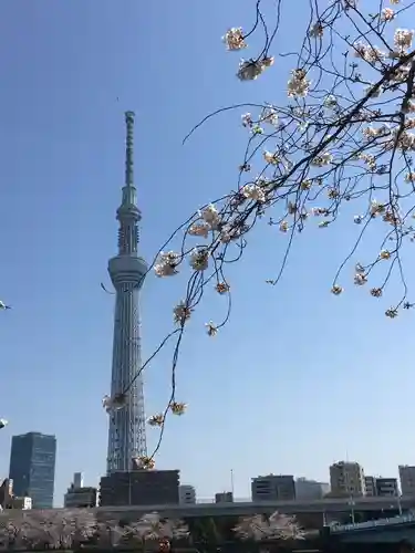 浅草寺の景色