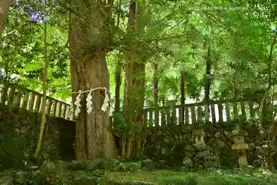 武蔵二宮 金鑚神社(埼玉県)