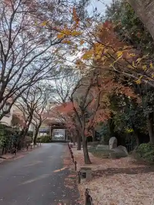 高円寺(東京都)
