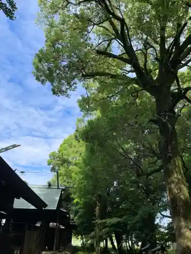 鞆江神社（明地）(愛知県)