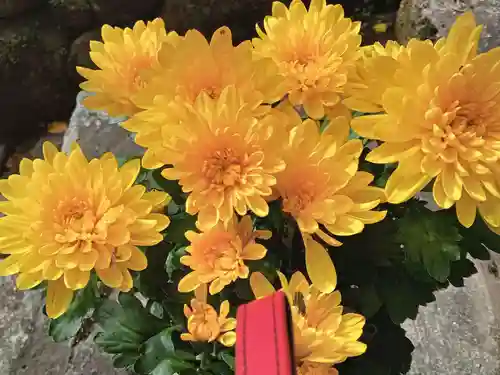 長谷寺(奈良県)