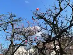 難波熊野神社の自然