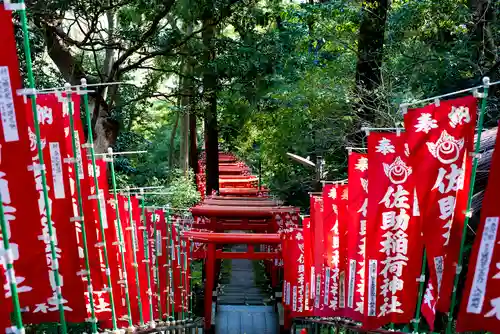 佐助稲荷神社の鳥居