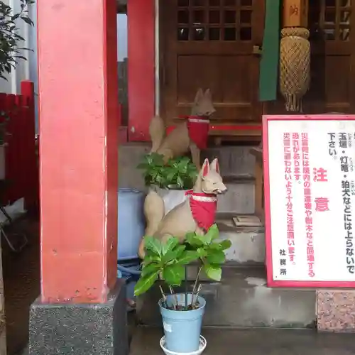 讃岐小白稲荷神社の狛犬