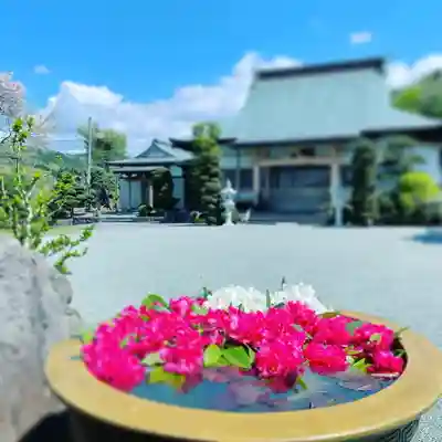 光明寺のその他建物