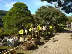 瀧泉寺の建物その他