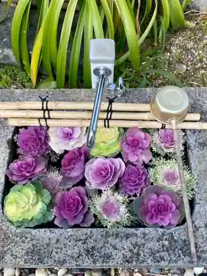 正覚院の手水舎