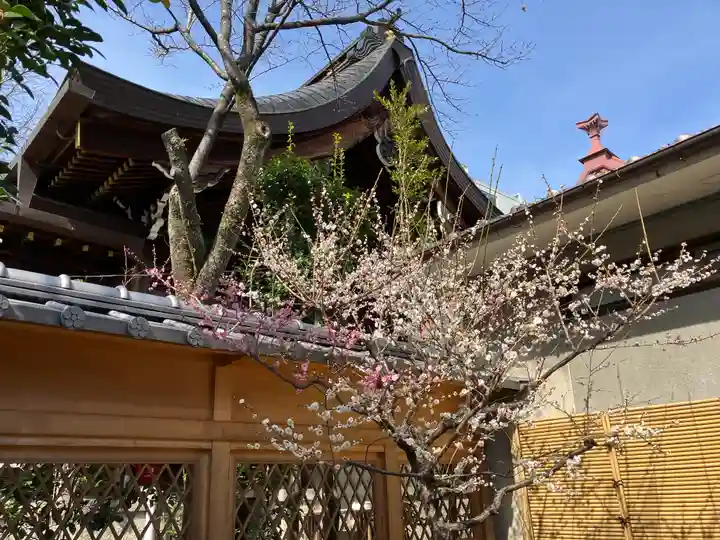 菅原院天満宮神社(京都府)
