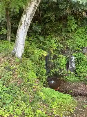 稱名寺（称名寺）の{uncategorized: "未分類", other: "その他", undefined: "問題あり", building: "その他建物", grave: "お墓", sacred_gate: "鳥居", guardian: "狛犬", statue: "像", buddha: "仏像", history: "歴史", nature: "自然", garden: "庭園", animal: "動物", pagoda: "塔", temizu: "手水舎", mountain_gate: "山門・神門", sanctuary: "本殿・本堂", subordinate: "末社・摂社", art: "芸術", scenery: "景色", jizo: "地蔵", ema: "絵馬", goshuin: "御朱印", omikuji: "おみくじ", items: "授与品その他", amulet: "お守り", goshuincho: "御朱印帳", eats: "食事", festival: "お祭り", votive_dance: "神楽", shichigosan: "七五三参", wedding: "結婚式", experience: "体験その他", initially: "初詣", around: "周辺", anti_infection: "感染症対策"}