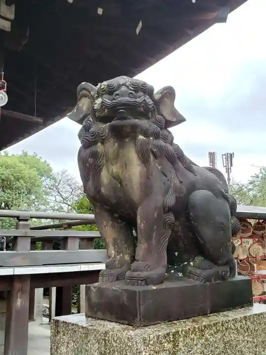 京都乃木神社の狛犬