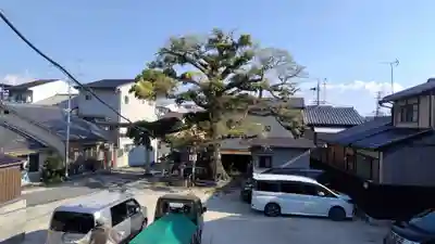 櫟谷七野神社(京都府)