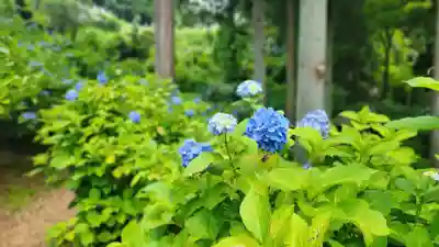 高林寺(福島県)