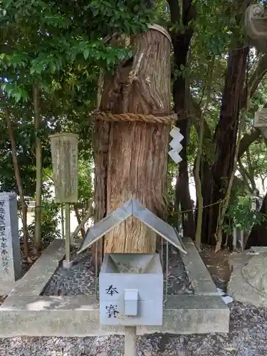 白山神社（二子町）の自然