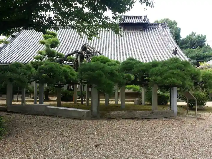 来迎寺のその他建物