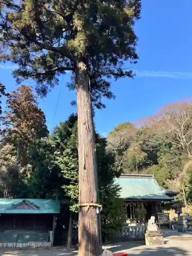 川勾神社(神奈川県)
