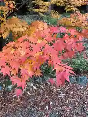 石道寺(滋賀県)