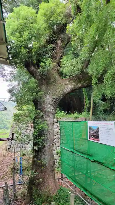久能山東照宮の自然