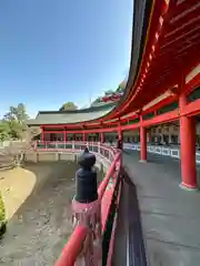 瀧谷不動尊　明王寺(大阪府)