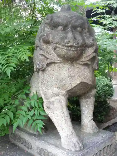 熊野神社の狛犬