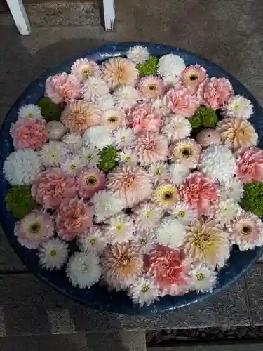 行田八幡神社の手水舎