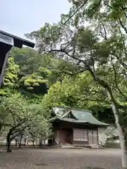 安房神社(千葉県)