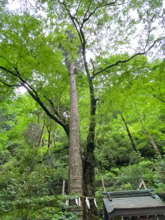 貴船神社奥宮(京都府)